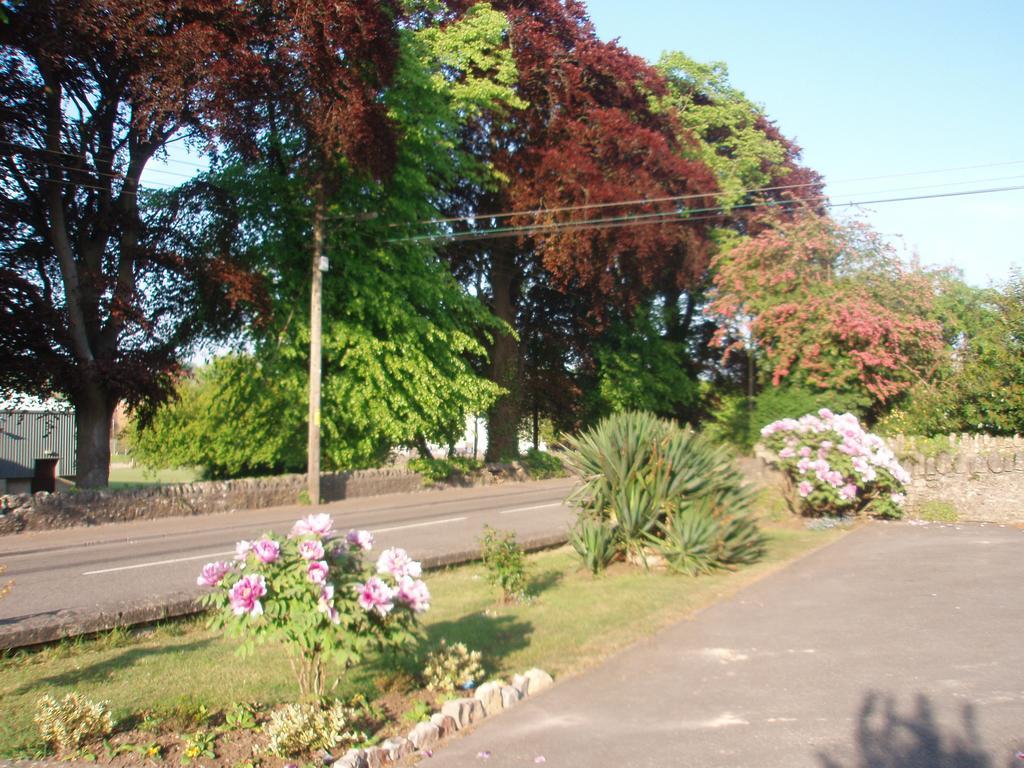 谢普顿马利特Belfield House住宿加早餐旅馆 外观 照片